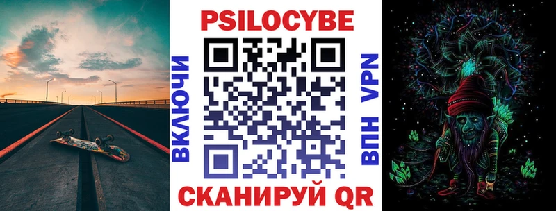 это наркотические препараты  как найти закладки  Алексеевка  Псилоцибиновые грибы Psilocybine cubensis 